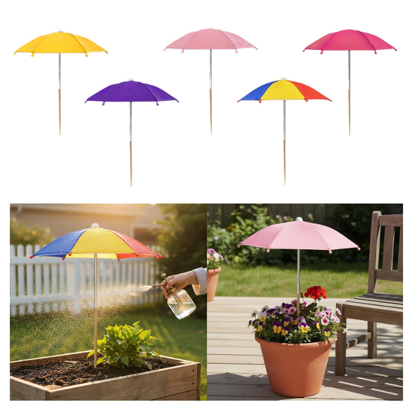 Bitki Şemsiyeleri Dış Mekan Ko - Outdoor Furniture Umbrella incelemesi ve fiyatı